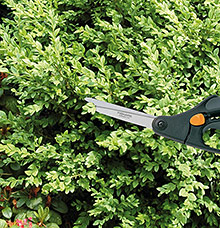 Nůžky na trávu Fiskars Servo-System S50